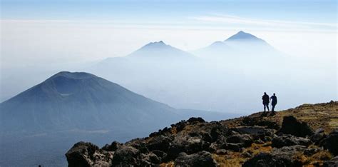 Hiking the Virunga Mountains in Rwanda | virunga hiking in Rwanda