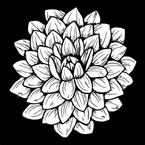 How to Draw a Dahlia: Step-by-Step Tutorial - The Happy Ever Crafter Inc.