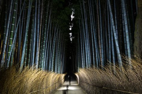 Arashiyama's Moonlit Bamboo Tour: Exploring the Mysterious Night Forest ...