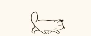 Playful Sleeping Cats - Animated Discord Banner