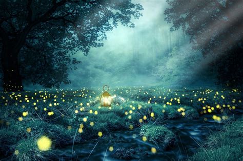 Download Forest In Night, Light Aquamarine, Green. Royalty-Free Stock Illustration Image - Pixabay