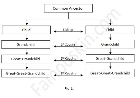 What is Consanguinity?