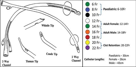 Urinary catheter types and sizes and how to choose – Artofit