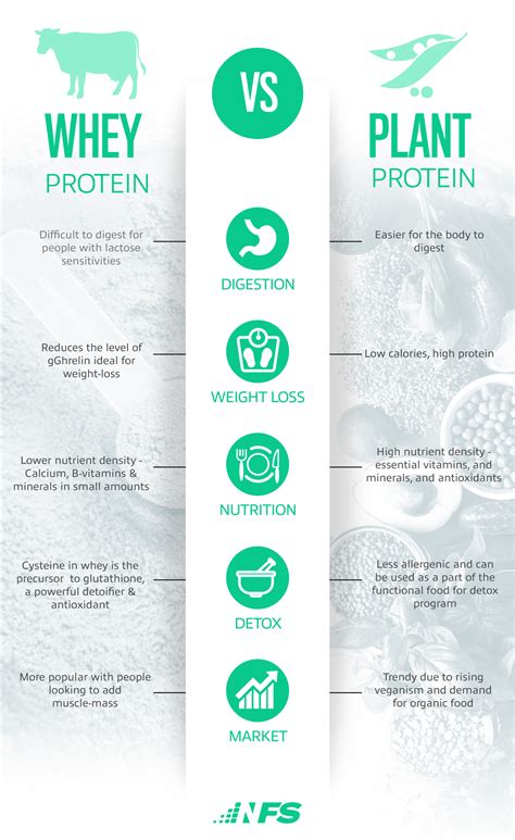 Plant-Based Protein vs Whey Protein: The Ultimate Supplement Guide ...