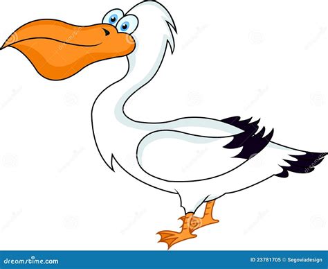 Funny pelican bird stock vector. Illustration of smiling - 23781705