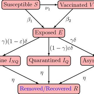 Flow diagram demonstrating the COVID-19 transmission model. | Download Scientific Diagram