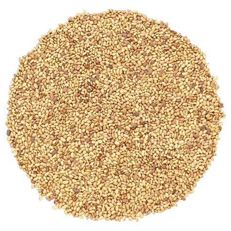 Alfalfa Seeds | Buy Alfalfa Seeds in Bulk from Food to Live