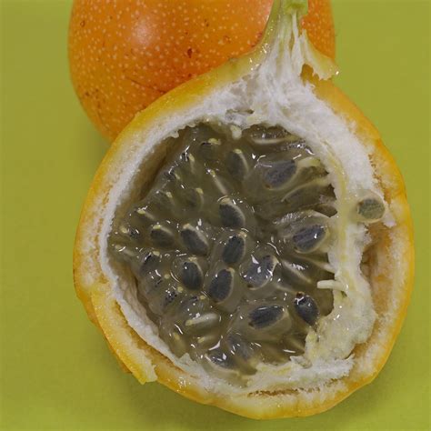 Sweet Granadilla