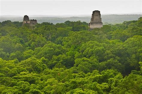 Tikal Maya Ruins – Belize Adventure