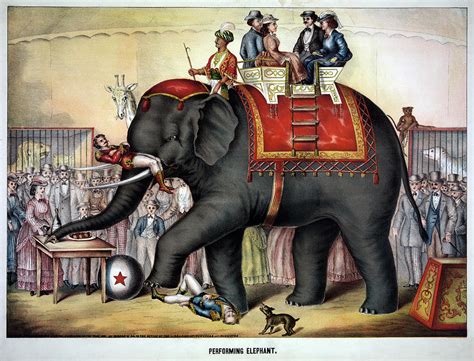 Circus Elephant #2 Painting by Granger - Fine Art America