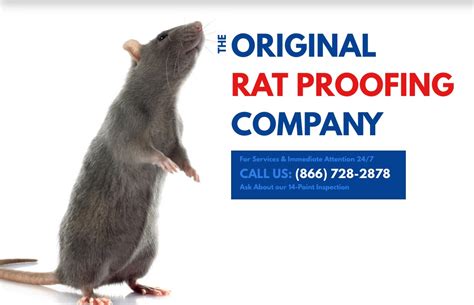 Rodent Control Los Angeles | Rat Exterminator Services