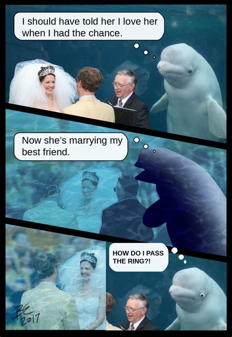 Something Borrowed, Something Beluga: The Story Of The Irresistible Beluga Whale Meme