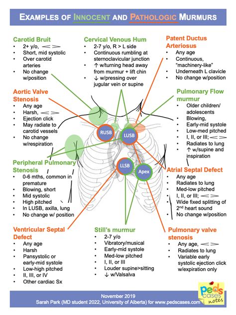 Approach to Heart Murmurs | PedsCases