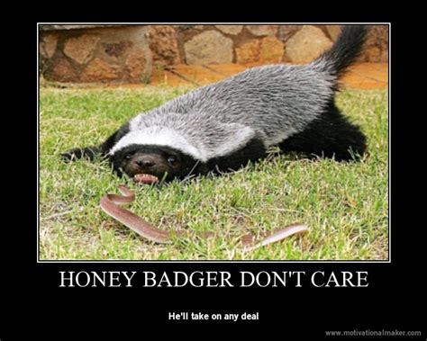 [Image - 739640] | Honey Badger | Know Your Meme