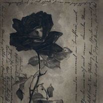 Black Rose - Dark Candles