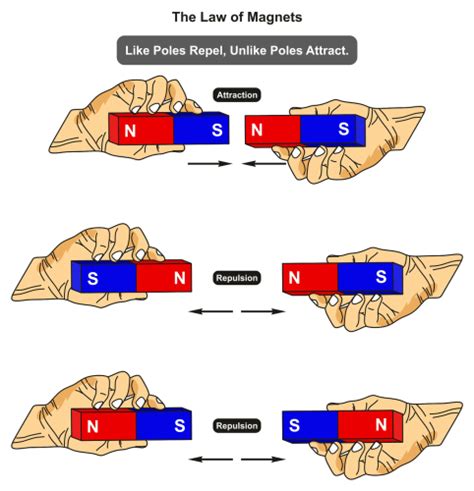 The south and north pole of two magnets will each other.