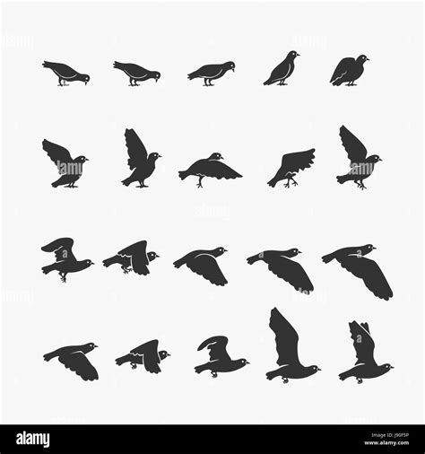 Flying bird sequence Black and White Stock Photos & Images - Alamy