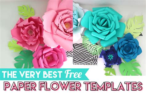 Best Free Paper Flower Templates - The Craft Patch