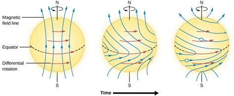 The Solar Cycle | Astronomy