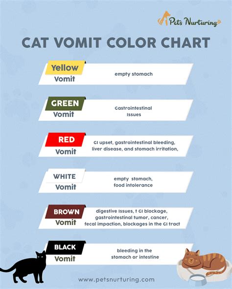 Cat Vomit Color Chart: What Does Each Color Mean