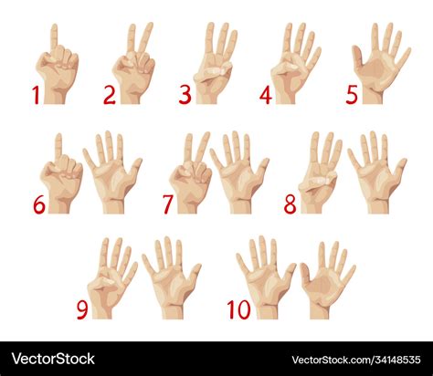 Finger count hand showing numbers from one to ten Vector Image