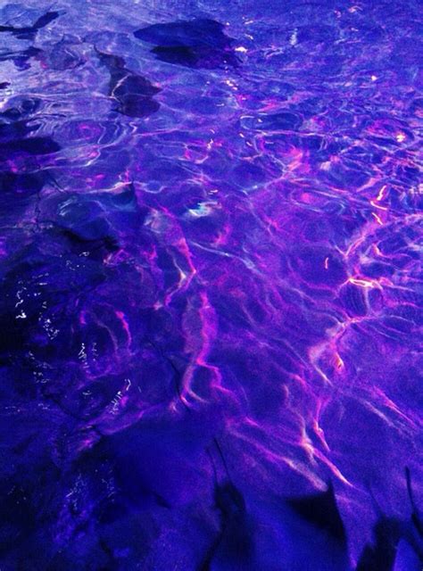 everything will glow for you | Dark purple aesthetic, Purple aesthetic, Violet aesthetic