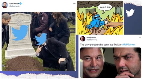 Elon Musk posts tombstone meme, netizens wonder if it’s the end of ...