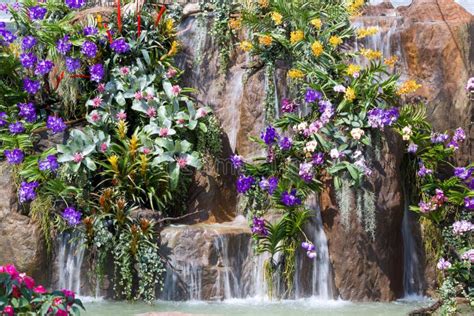 Waterfall And Flowers In Garden Stock Photo - Image of water, trees: 35062968