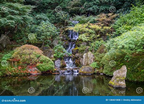 Waterfall in a Japanese Garden Stock Photo - Image of pond, water ...