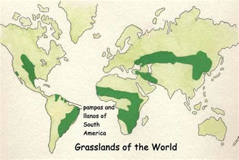 Temperate Grassland