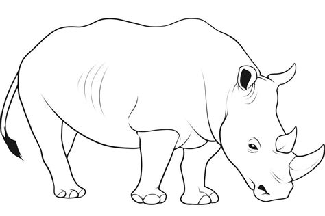 Rhino Line Drawing at PaintingValley.com | Explore collection of Rhino Line Drawing