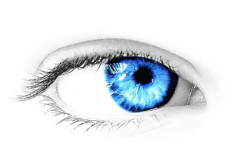 Eyes HD PNG Transparent Eyes HD.PNG Images. | PlusPNG