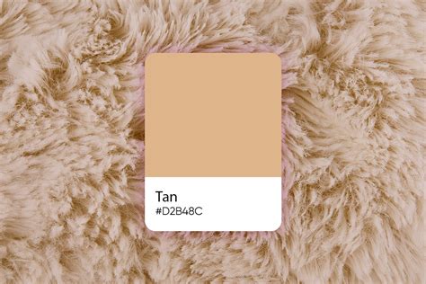 Tan Color: Its Meaning, Codes, and Top Palette Ideas - Picsart Blog