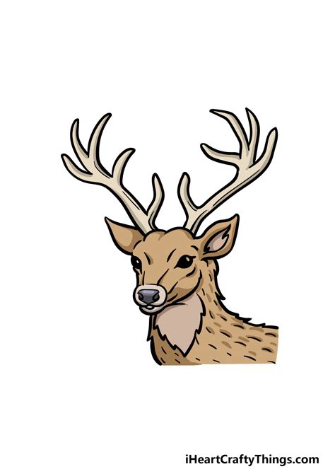 Deer Head Drawing - How To Draw A Deer Head Step By Step