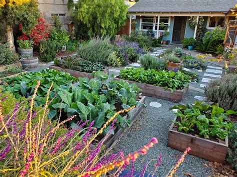 How to Start a Fall Garden: Best Fall Vegetables to Grow ~ Homestead ...