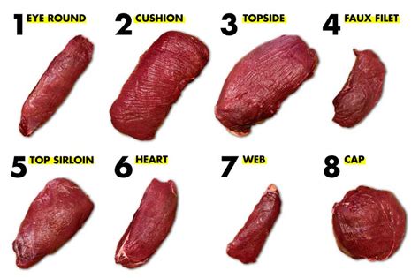 Venison Cuts Of Meat Diagram