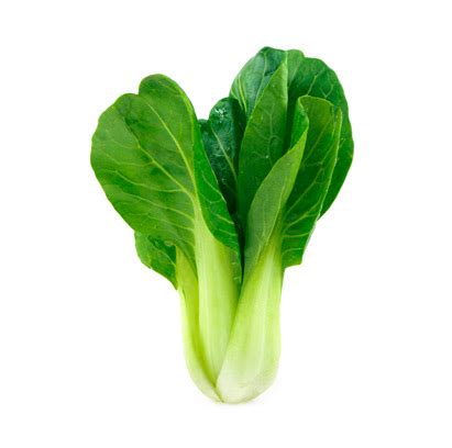 Bok Choy – Fresh Field Produce