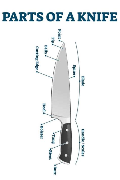 Need to know the parts of a knife? Here is knife anatomy with knife diagram pictures so you know ...