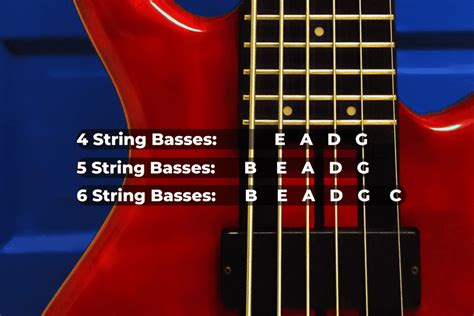 How to Tune a Bass Guitar? 3 Easy Step by Step Methods