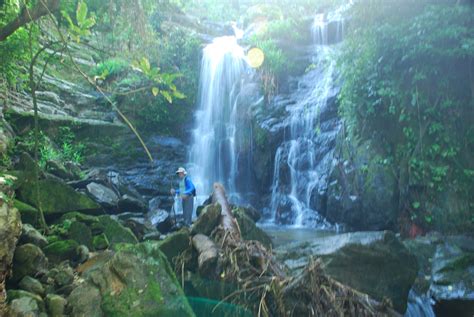 Falls Guanaja Honduras Honduras, Roatan, Leaving Home, Vacation ...