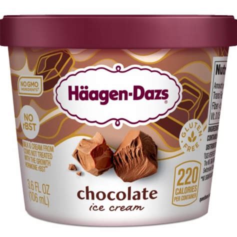 Haagen Dazs® Chocolate Ice Cream Cup, 3.6 fl oz - Fry’s Food Stores