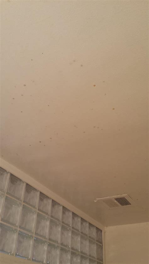 How To Kill Bathroom Mold On Ceiling - Bathroom Poster