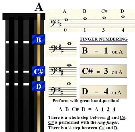 D MAJOR 17 :: StringQuest