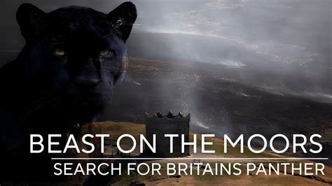 Beast Of Bolton: Britain's Big Cat Enigma | Full Cryptid Documentary - YouTube