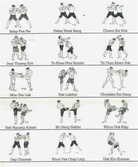 Effective Muay Thai techniques: how to dominate in the ring | Muay thai techniques, Muay thai ...