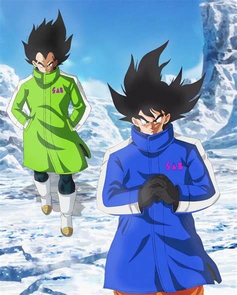 Introducir 52+ imagen goku y vegeta vs goku black - Viaterra.mx