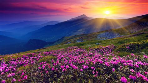 Nature Landscape Sunrise Wallpapers - Wallpaper Cave