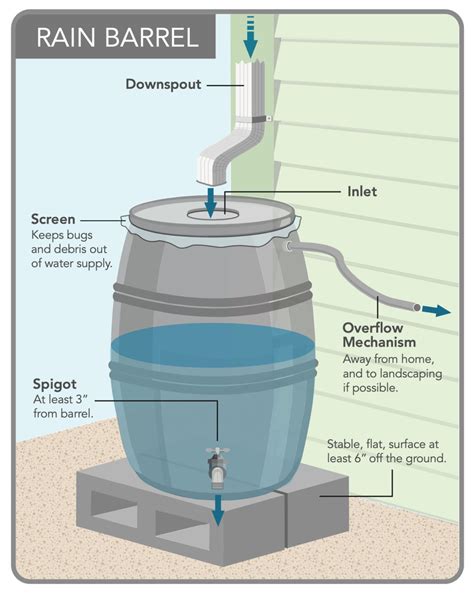 Rain Barrel Diagram