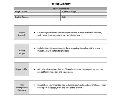 Project Summary Template for Word (Free Download)