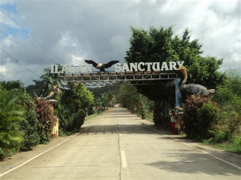 Ilagan Sanctuary: A Rising Tourist Spot in the Philippines - Golden Isabela